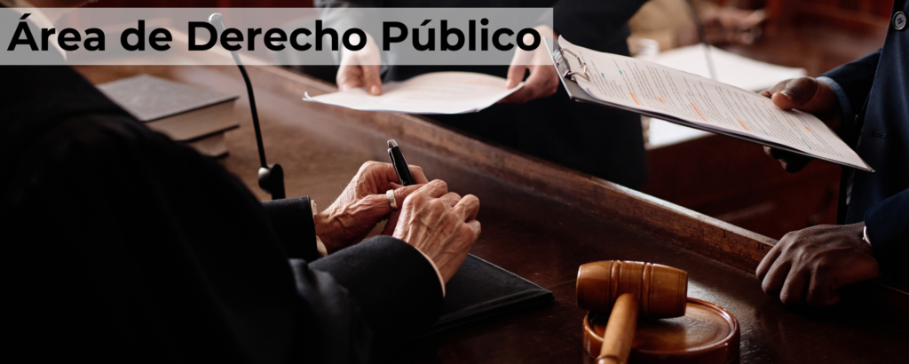 Derecho Público